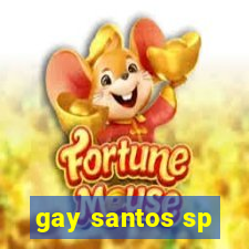 gay santos sp